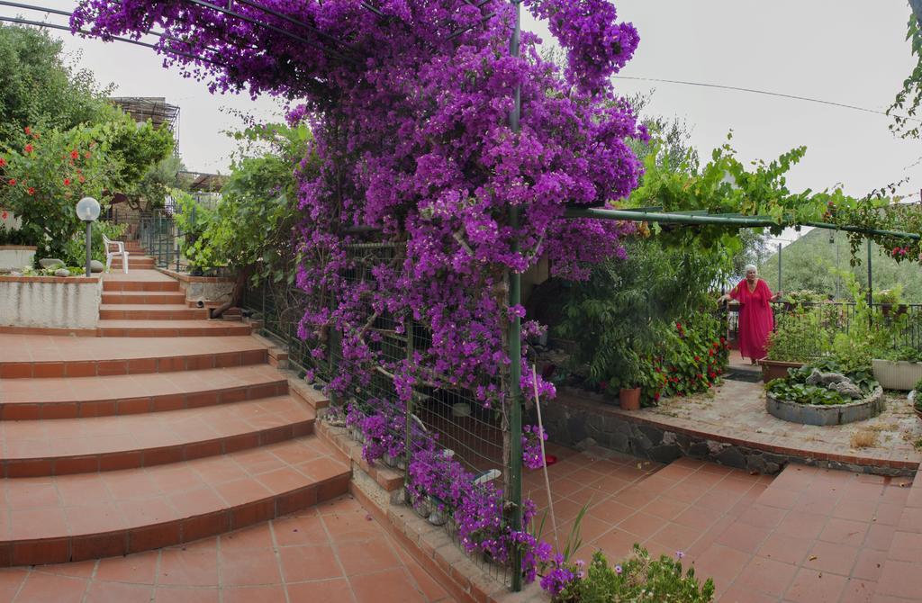 L' Arca Residence Cefalù Kültér fotó