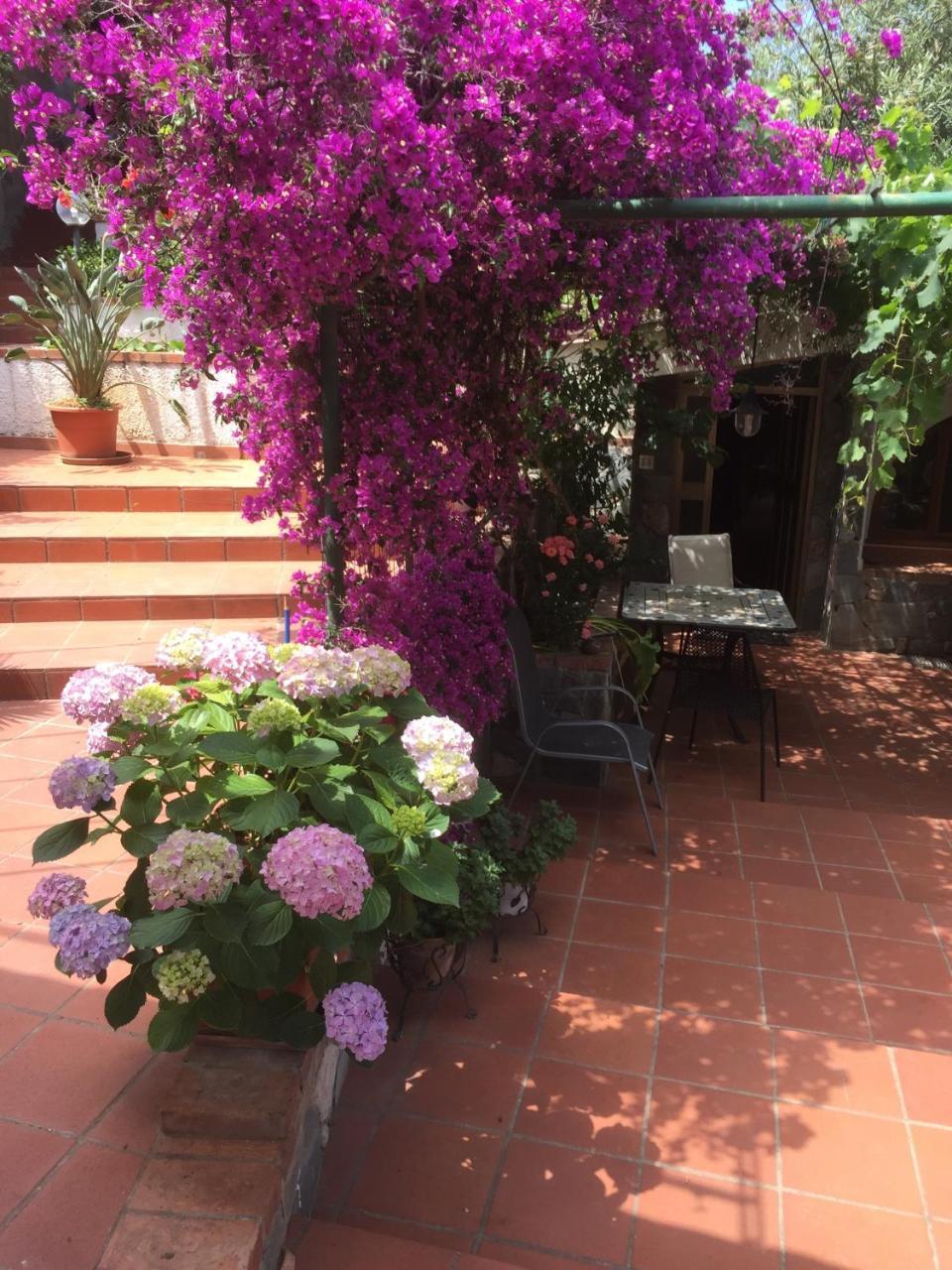 L' Arca Residence Cefalù Kültér fotó